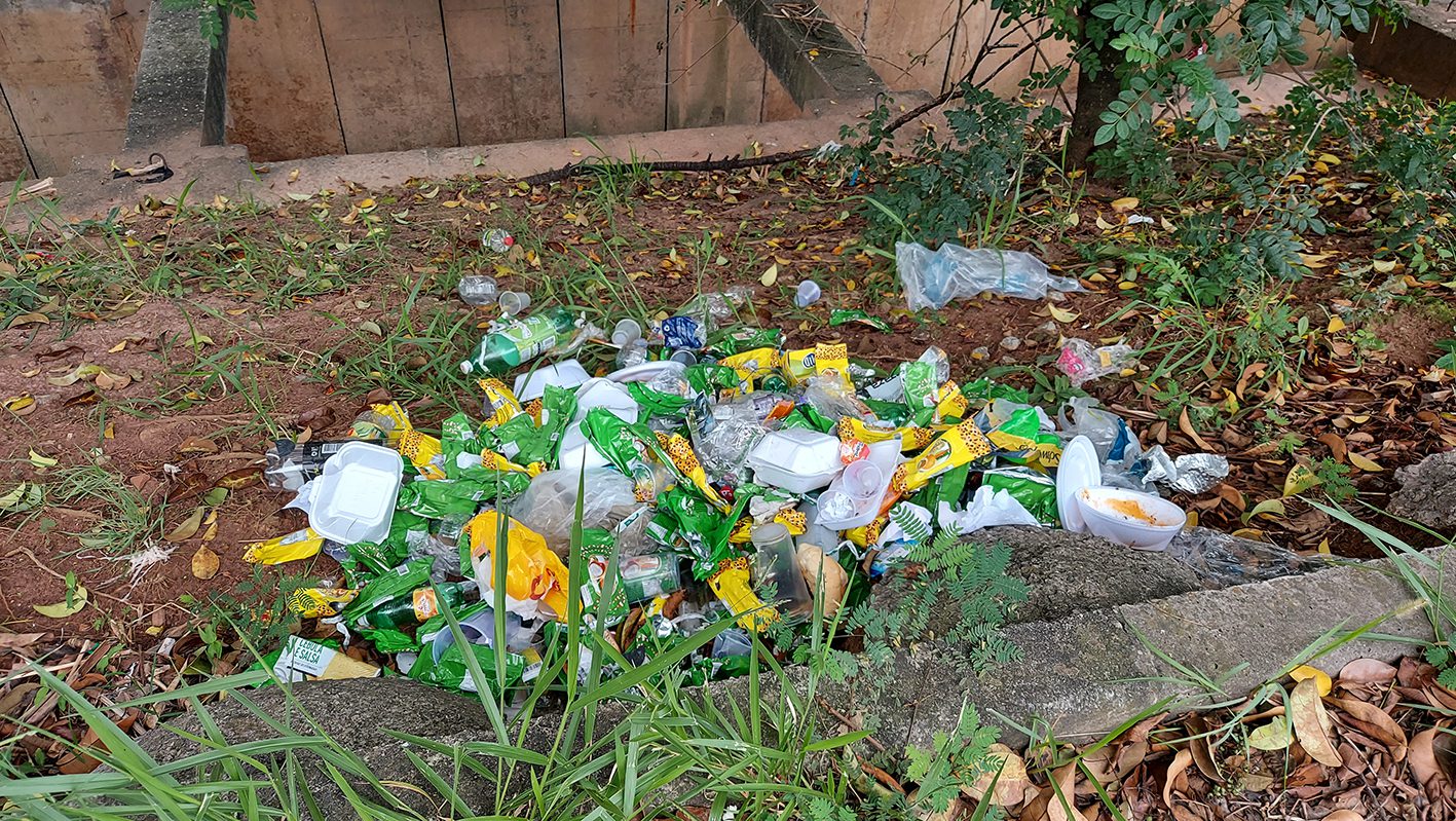 Descarte irregular de lixo é falta de consciência e de educação do cidadão  ⋆ Jornal do Momento News