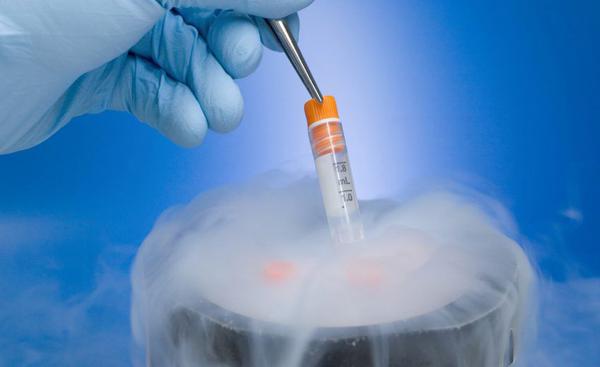 Embriões congelados