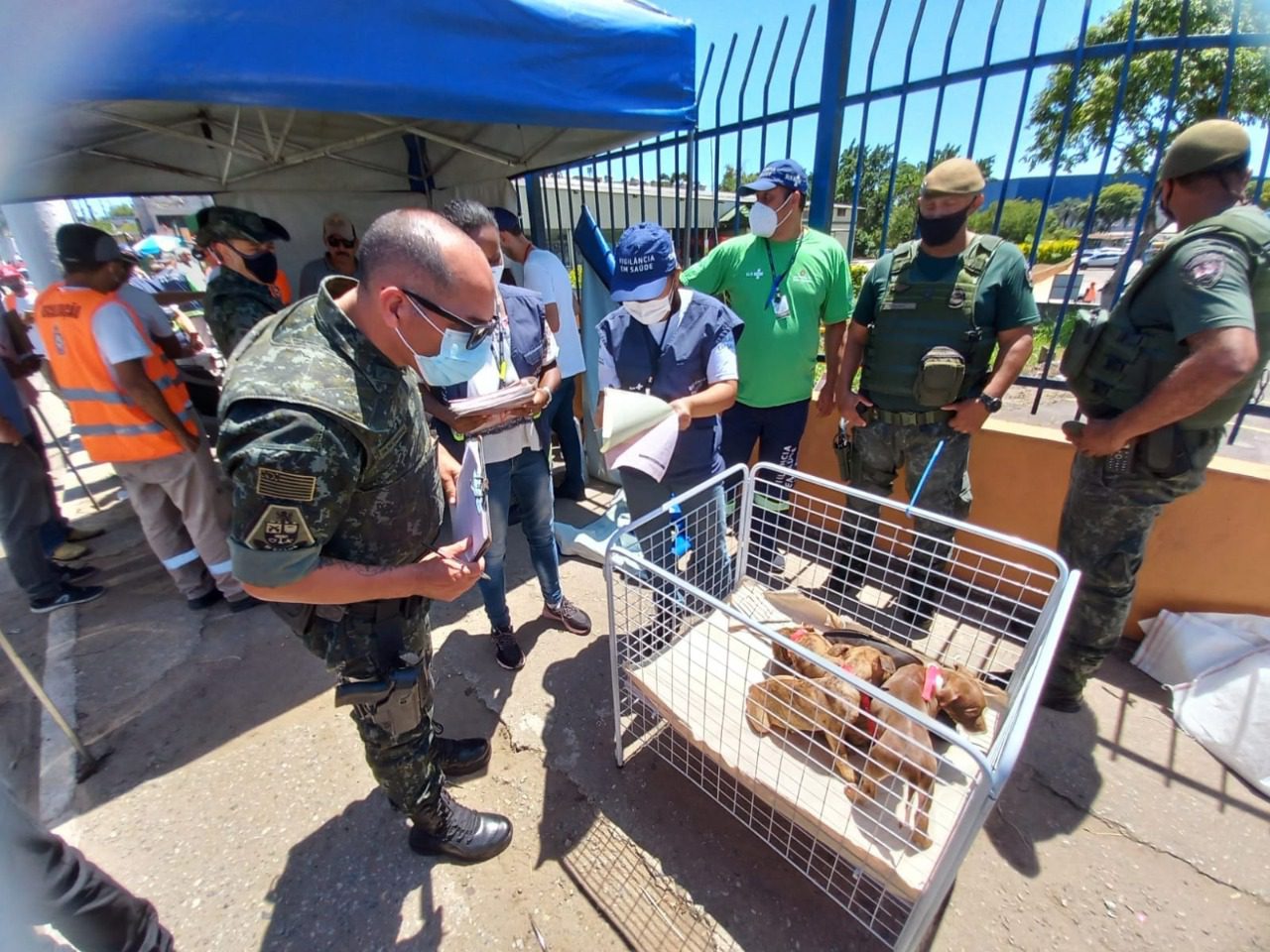 Feira clandestina